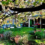 Bohemian Eco At Balaton *