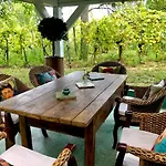 Bohemian Eco At Balaton 公寓