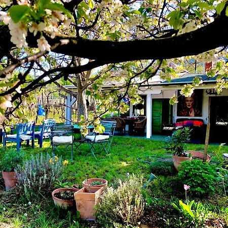 Bohemian Eco At Balaton *