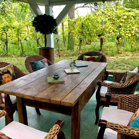 Bohemian Eco At Balaton Apartment
