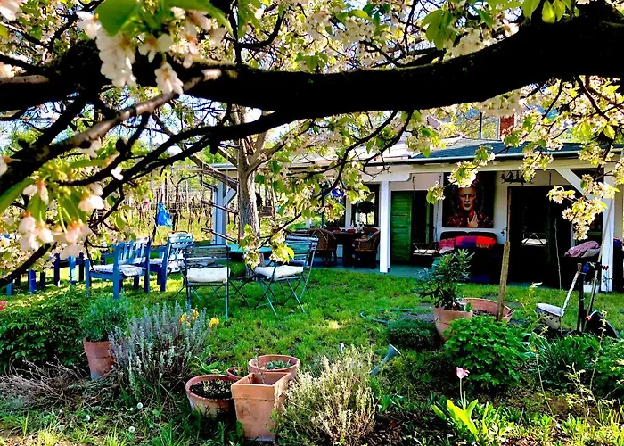 Bohemian Eco At Balaton *